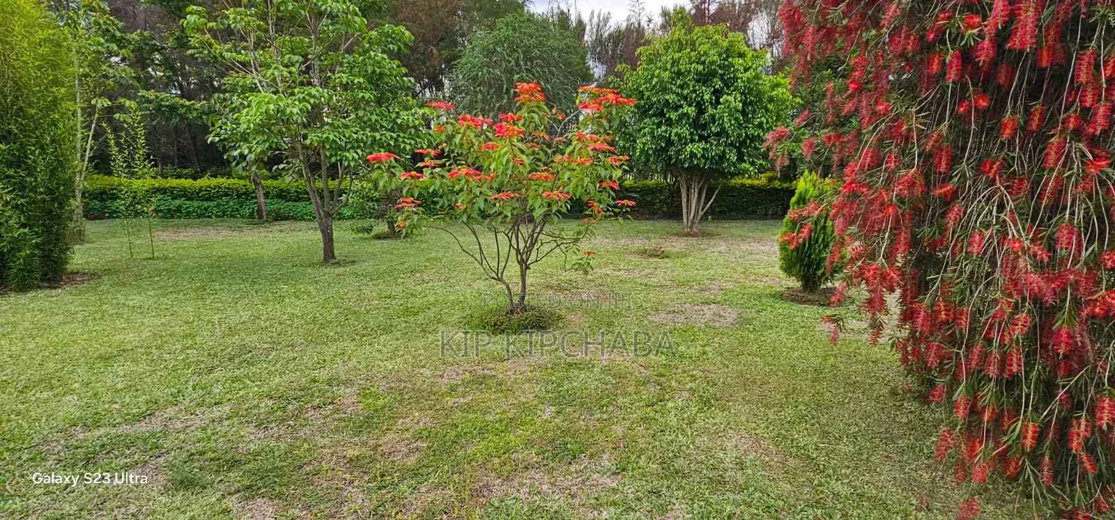 5bdrm House in Kiplombe for sale