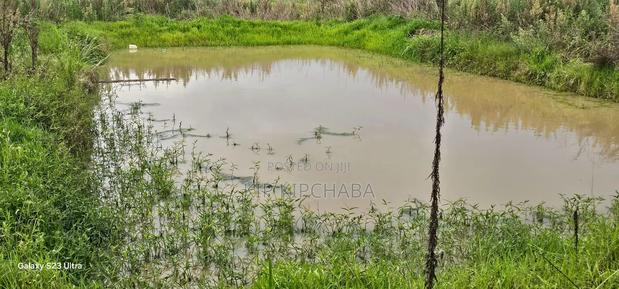 5bdrm House in Kiplombe for sale - thumbnail 17