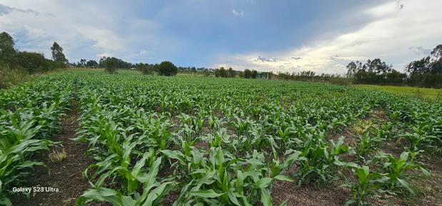 5bdrm House in Kiplombe for sale - thumbnail 18