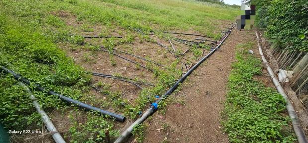 5bdrm House in Kiplombe for sale - thumbnail 19