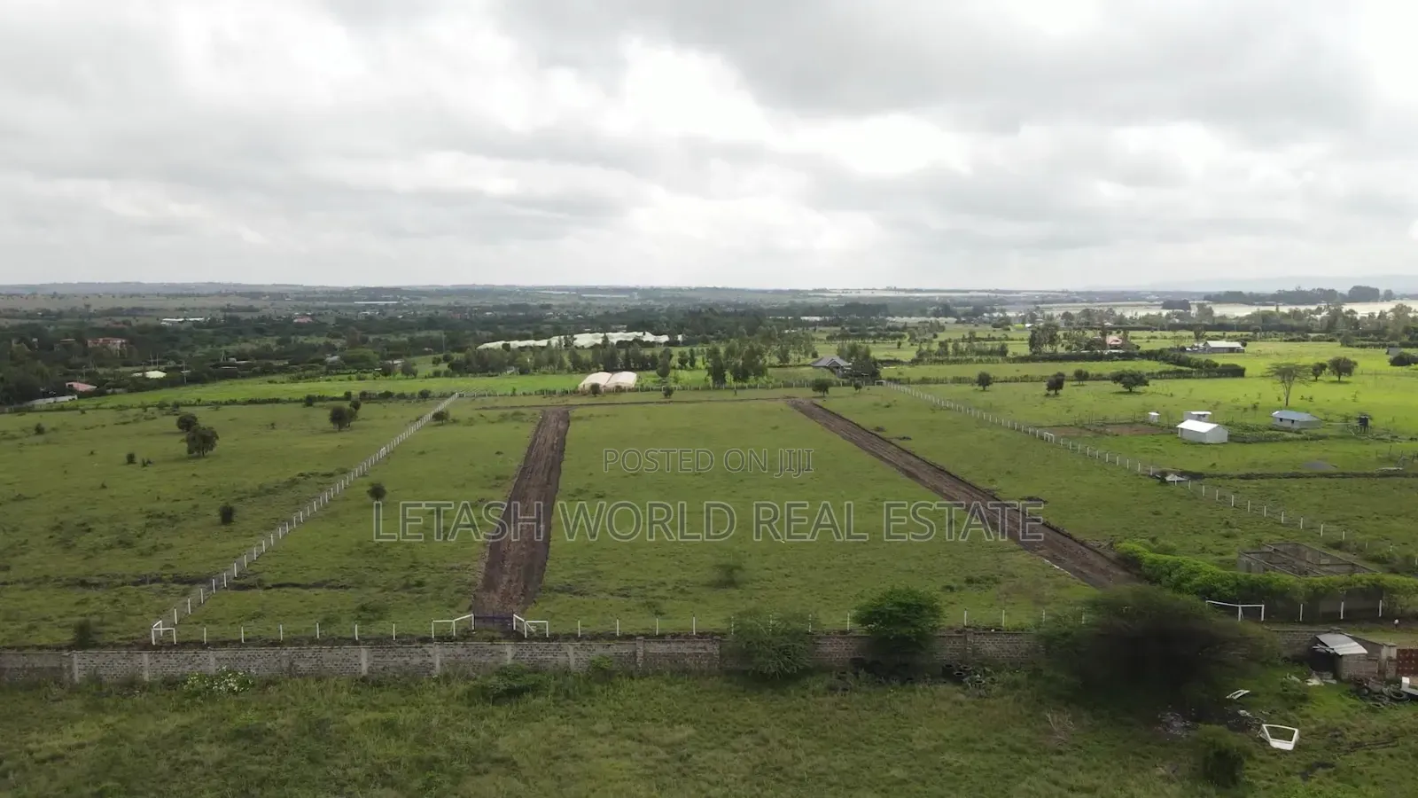 Plots, 50 by 100, 500 Meters From the Highway