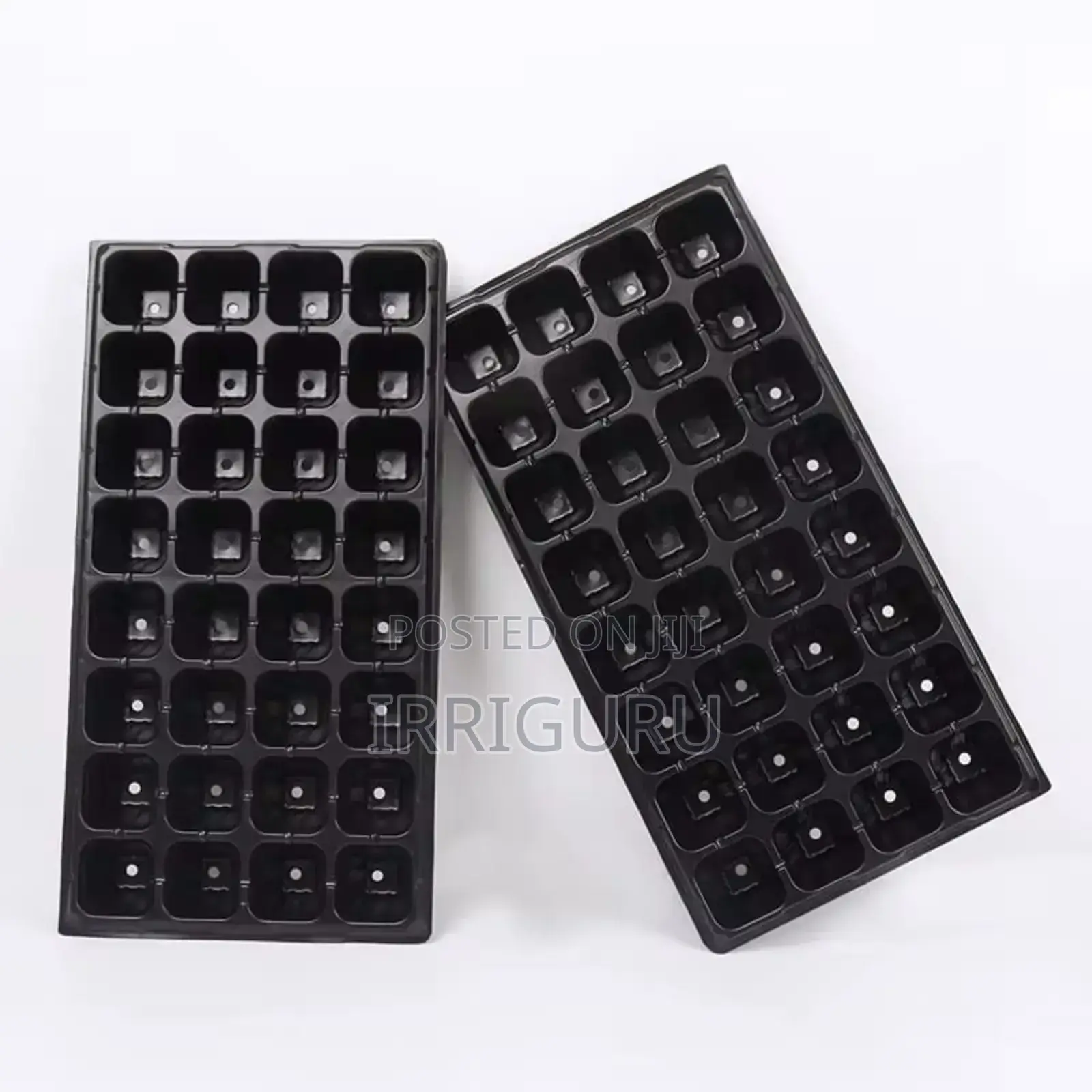 Seed Tray 1