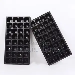 Seed Tray 1