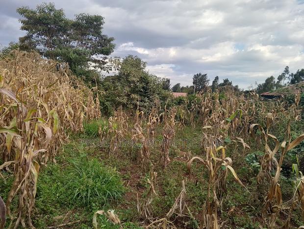 Karen - Dagoretti- Mutuini 1/4 Acre - thumbnail 6