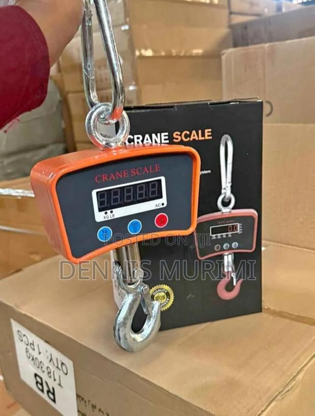 Crane Scale Max Weight 500kg/Durable Accurate Scale - main view