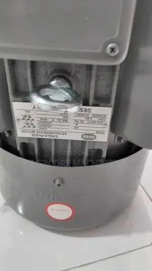 Hheavy Duty STCL Italy 7.5hp Single Phase Motor