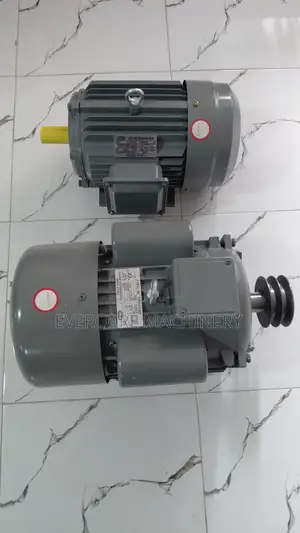 Hheavy Duty STCL Italy 7.5hp Single Phase Motor