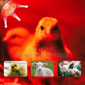 Long-Lasting Infra Red Bulb