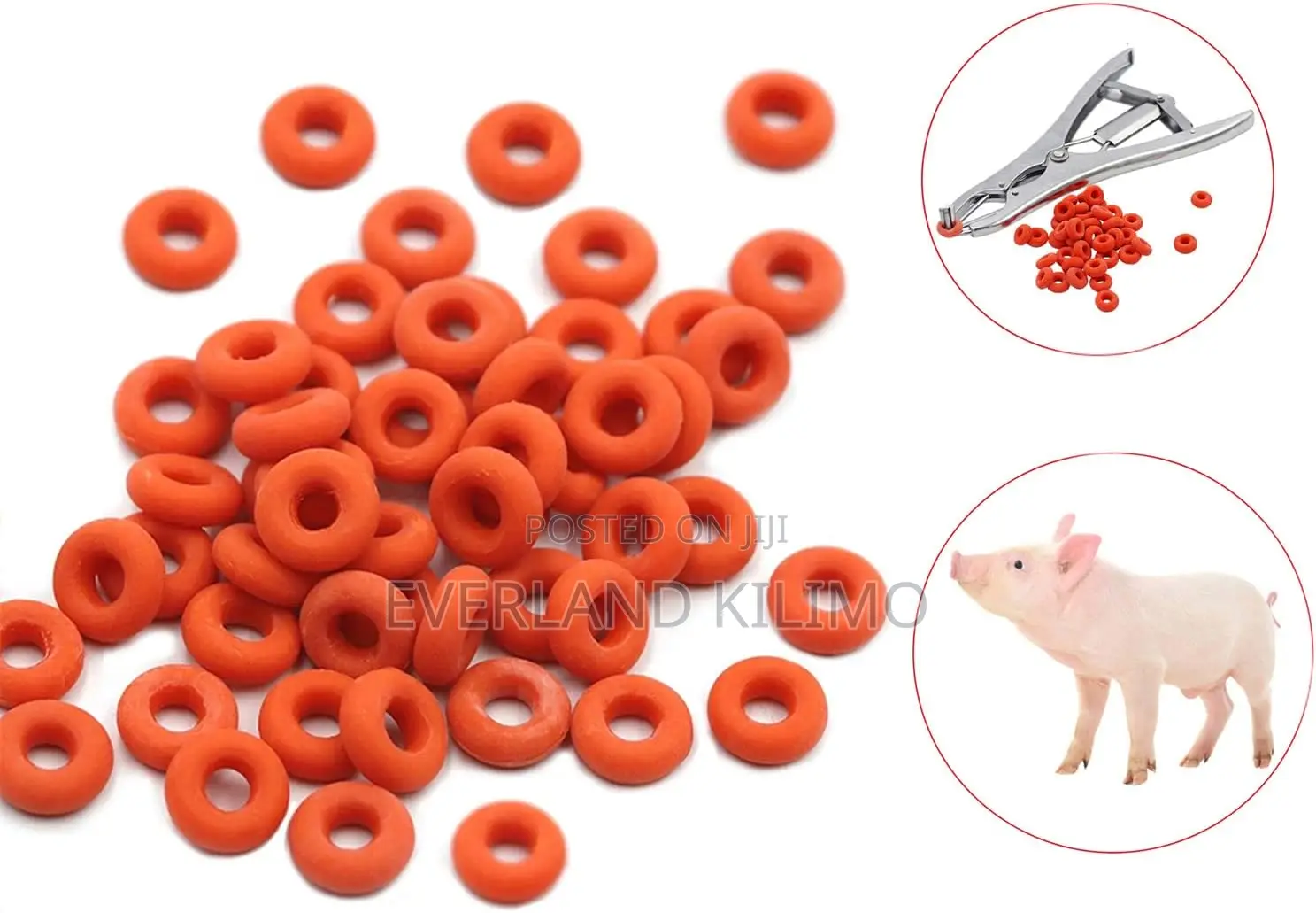Tight-Grip Rubber Rubber Rings - 100's