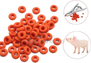 Tight-Grip Rubber Rubber Rings - 100's