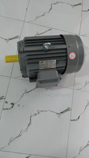 5.5hp Eletric Three Phase Motor STCL Italy