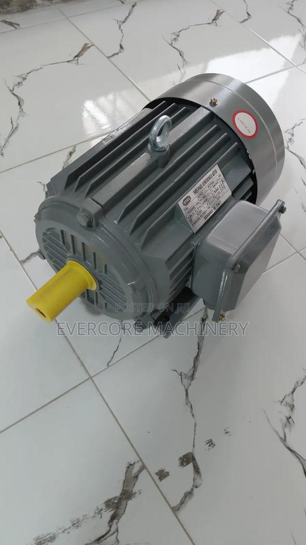 5.5hp Eletric Three Phase Motor STCL Italy - thumbnail 4