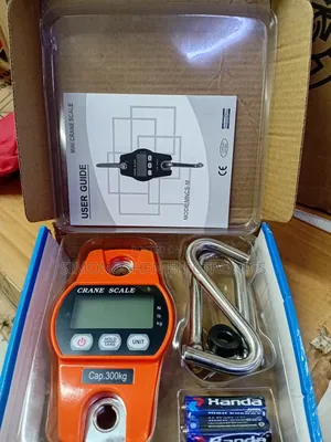 300kg Mini Crane Scale
