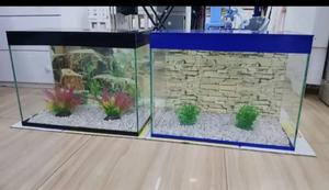 Aquarium Tanks - thumbnail 2