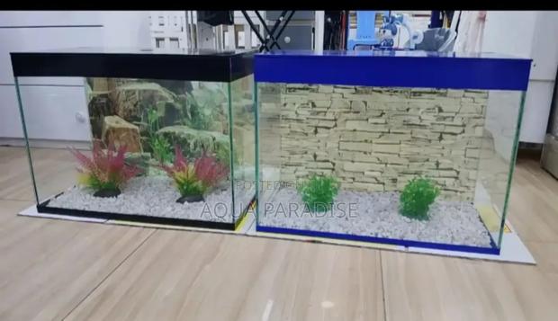 Aquarium Tanks - main view