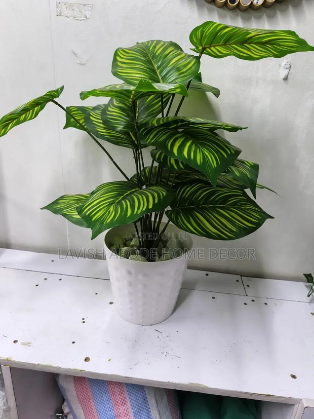 Artificial Zebra Plant in a Bubble White Vase - main view