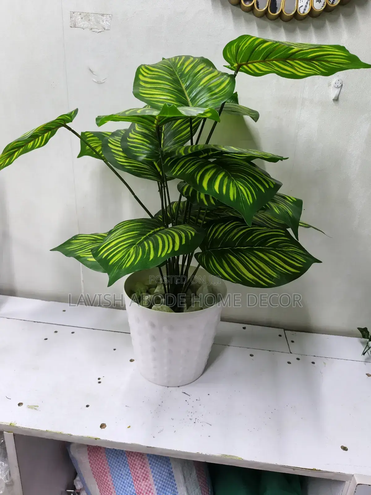 Artificial Zebra Plant in a Bubble White Vase