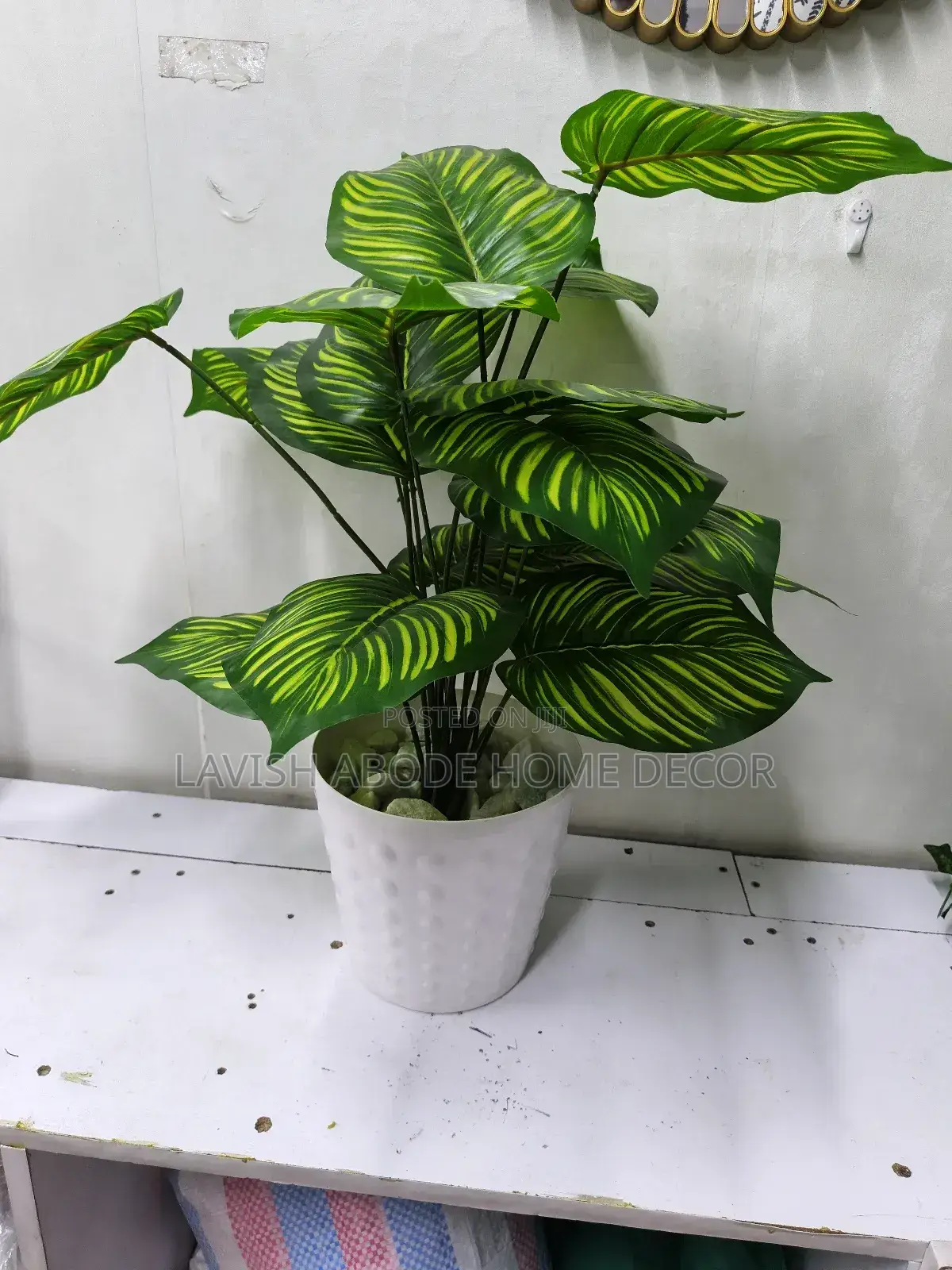 Artificial Zebra Plant in a Bubble White Vase