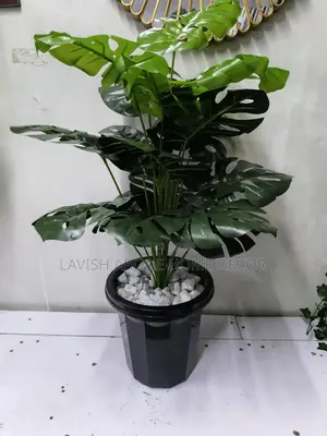 Artificial Monstera Plant in a Black Planter