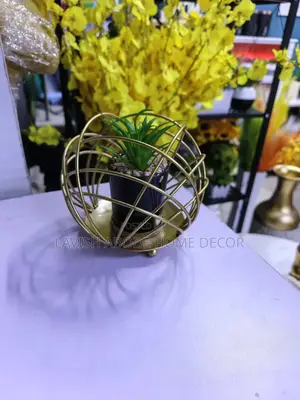 Wired Succulent Plant