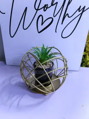 Wired Succulent Plant