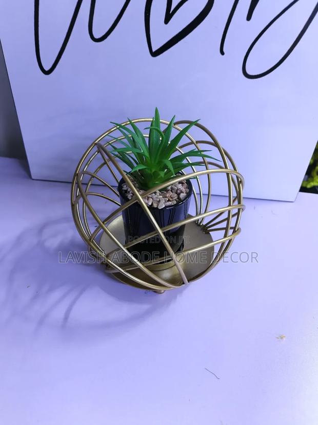 Wired Succulent Plant - thumbnail 3