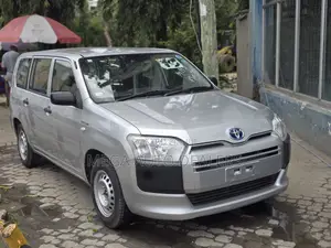 Toyota Probox 2018 Silver