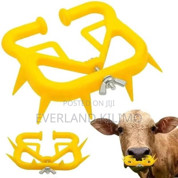 Effective Suckling Preventor - main view