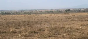 Kinanie 10ac for Sale Suitable for Subdivisions