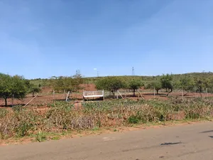 Plots for Sale in Ngong Maroroi Near Suswa Kajiado Near Kiambu Border