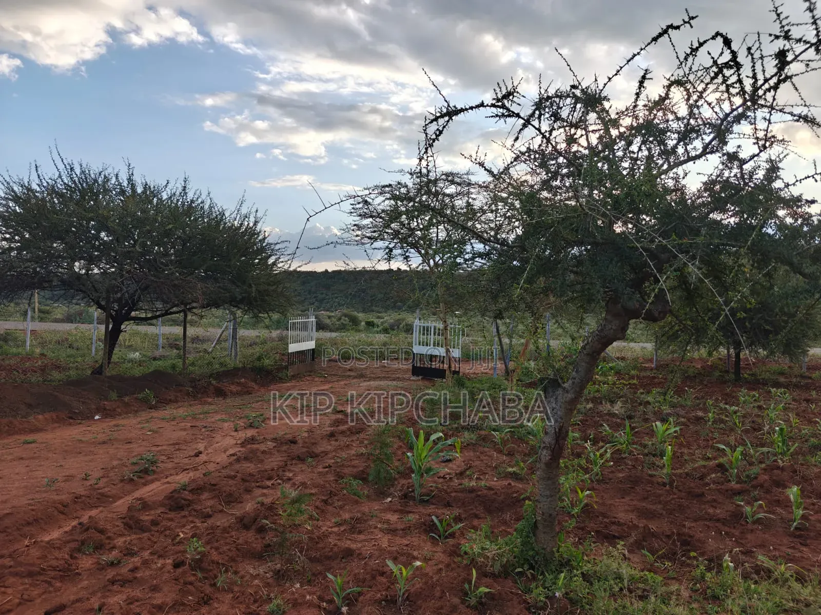 Plots for Sale in Ngong Maroroi Near Suswa Kajiado Near Kiambu Border