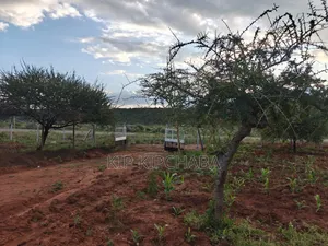 Plots for Sale in Ngong Maroroi Near Suswa Kajiado Near Kiambu Border