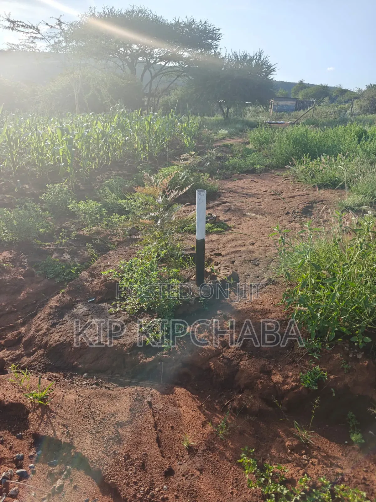 Plots for Sale in Ngong Maroroi Near Suswa Kajiado Near Kiambu Border