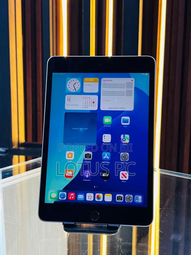 Apple iPad mini 5 64 GB Gray - main view