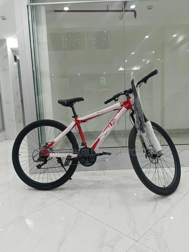 Premier Rider 29" Bicycle - main view