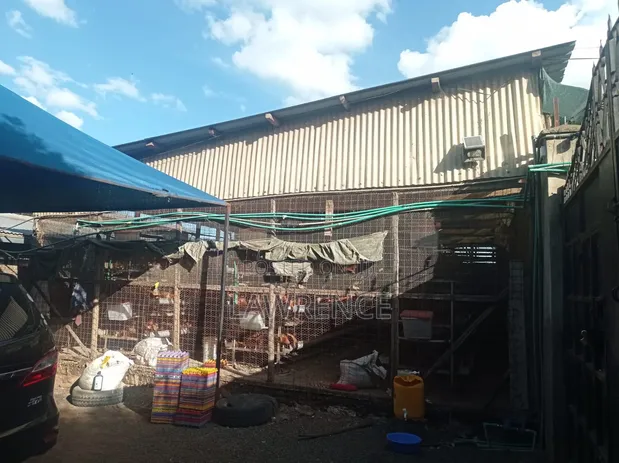 8bdrm Farm House in Manyatta, Utawala for rent
