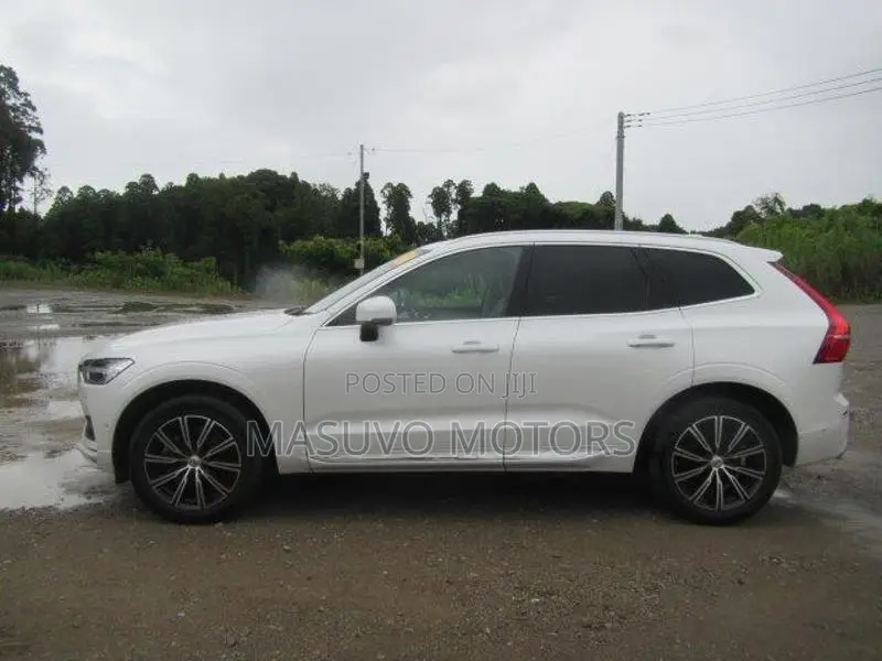 Volvo XC60 2020 Pearl