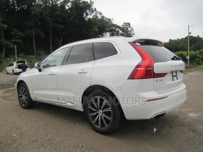 Volvo XC60 2020 Pearl