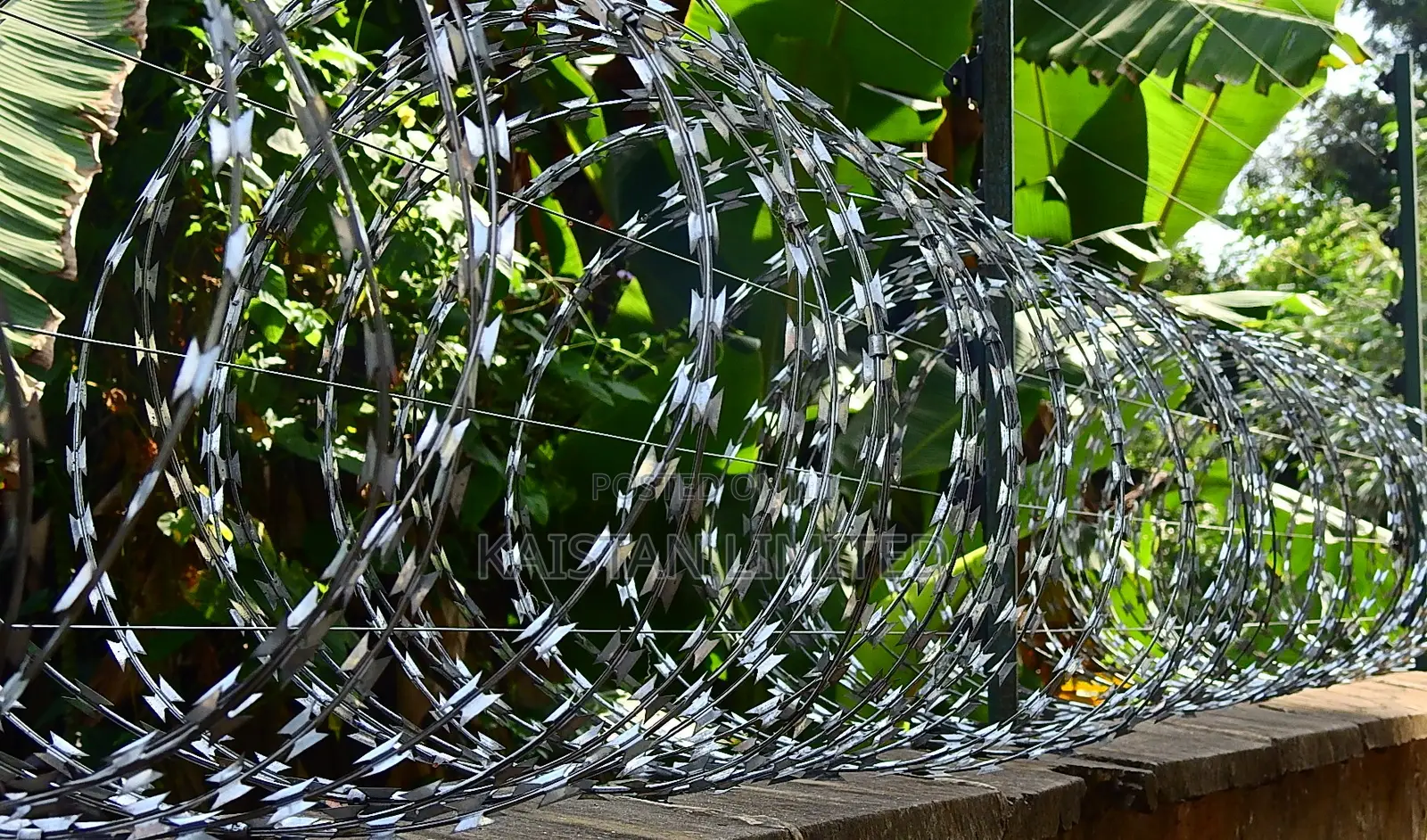 Galvanized Lazor Wire Supply