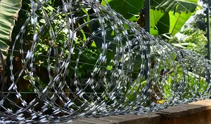 Galvanized Lazor Wire Supply