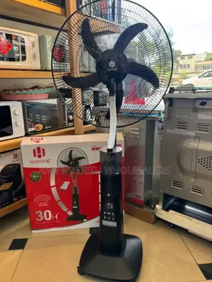 Standing Fan