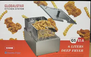 2500 Watts Brand New Globalstar Single Deep Fryer