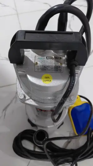 Shallow Well Electric Submersible Pump Single Phase 17m Head .
