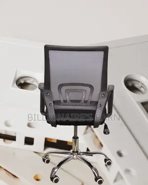 Secretarial Mesh Office Chair | Orthopedic Mesh Backrest