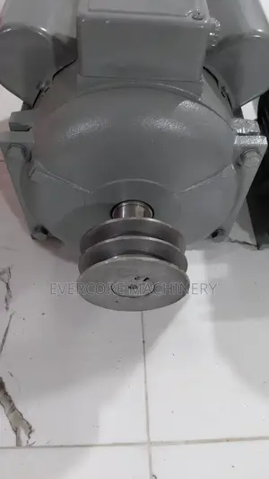 STCL 7.5hp Electric Single Phase Motor High-Speed.