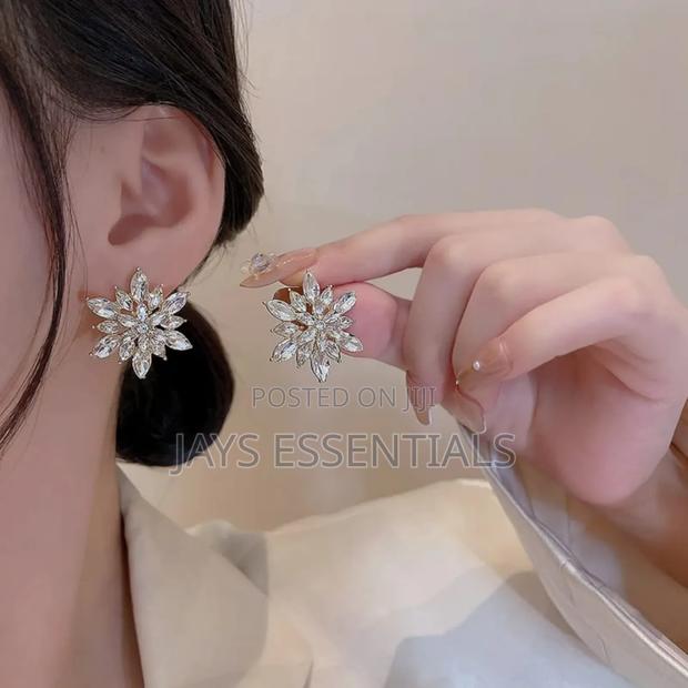 Classic and Trendy Earrings for All Styles - thumbnail 6