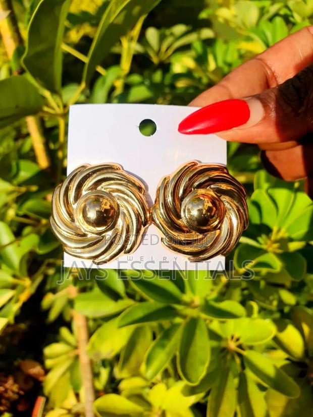 Classic and Trendy Earrings for All Styles - thumbnail 13