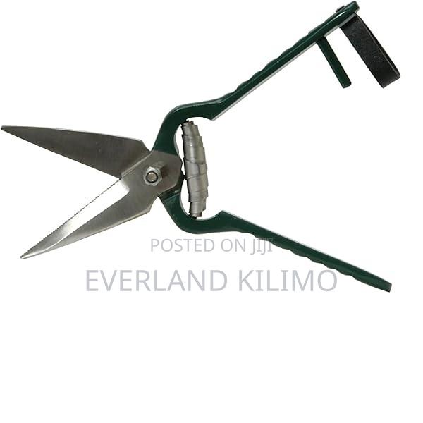 Safe Goat Hoof Trimmer