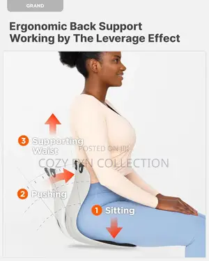 Back Rest Support Curble Chair