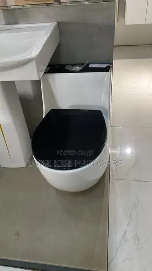 Black and White Toilet Available